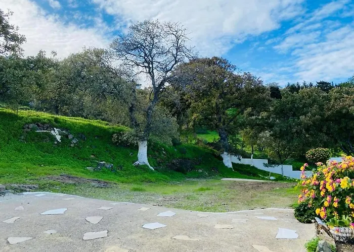 The Blue House Daire